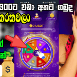 Mobile phone screen displaying a prize wheel game, featuring text in Sinhala and English, highlighting a 100% free prize, and showcasing user testimonials.